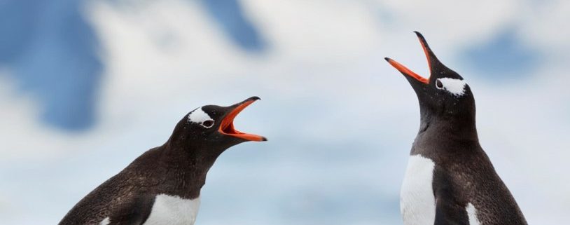 Gebruik conflicten als katalysator voor hogere prestaties